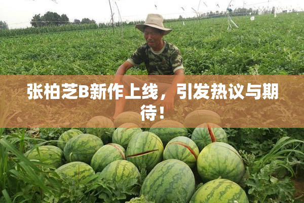 张柏芝B新作上线，引发热议与期待！