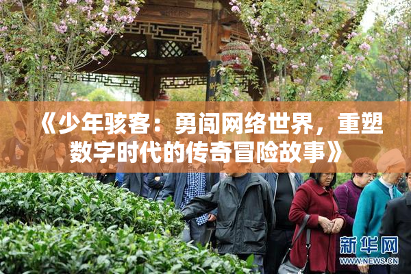 《少年骇客：勇闯网络世界，重塑数字时代的传奇冒险故事》