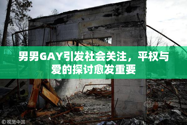 男男GAY引发社会关注，平权与爱的探讨愈发重要