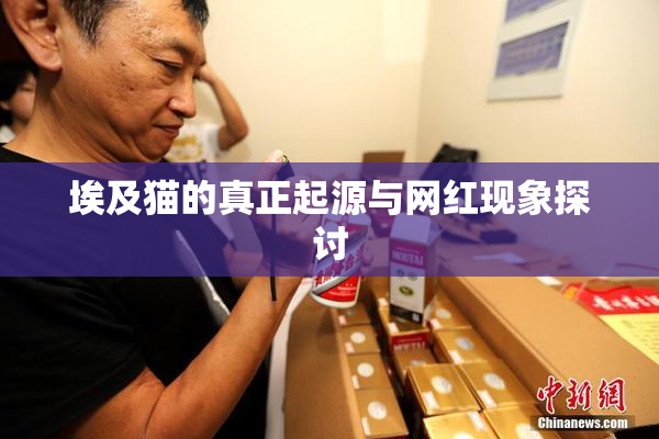 埃及猫的真正起源与网红现象探讨