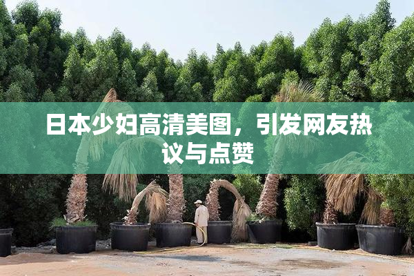 日本少妇高清美图，引发网友热议与点赞