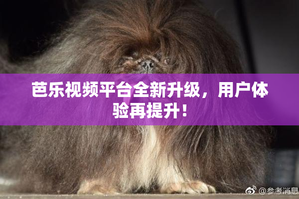 芭乐视频平台全新升级，用户体验再提升！