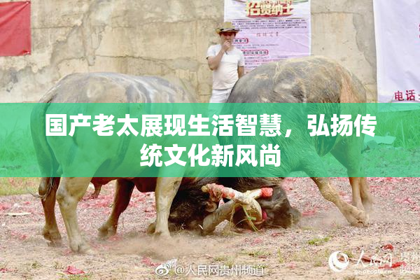 国产老太展现生活智慧，弘扬传统文化新风尚