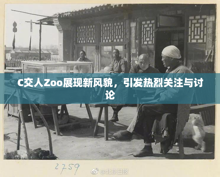 C交人Zoo展现新风貌，引发热烈关注与讨论