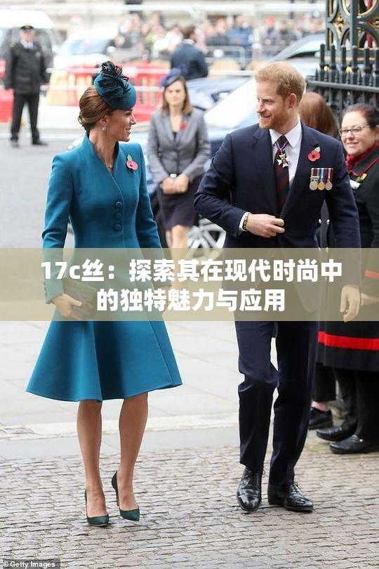 17c丝：探索其在现代时尚中的独特魅力与应用