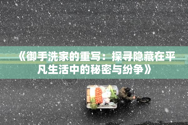 《御手洗家的重写：探寻隐藏在平凡生活中的秘密与纷争》