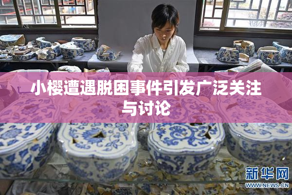 小樱遭遇脱困事件引发广泛关注与讨论