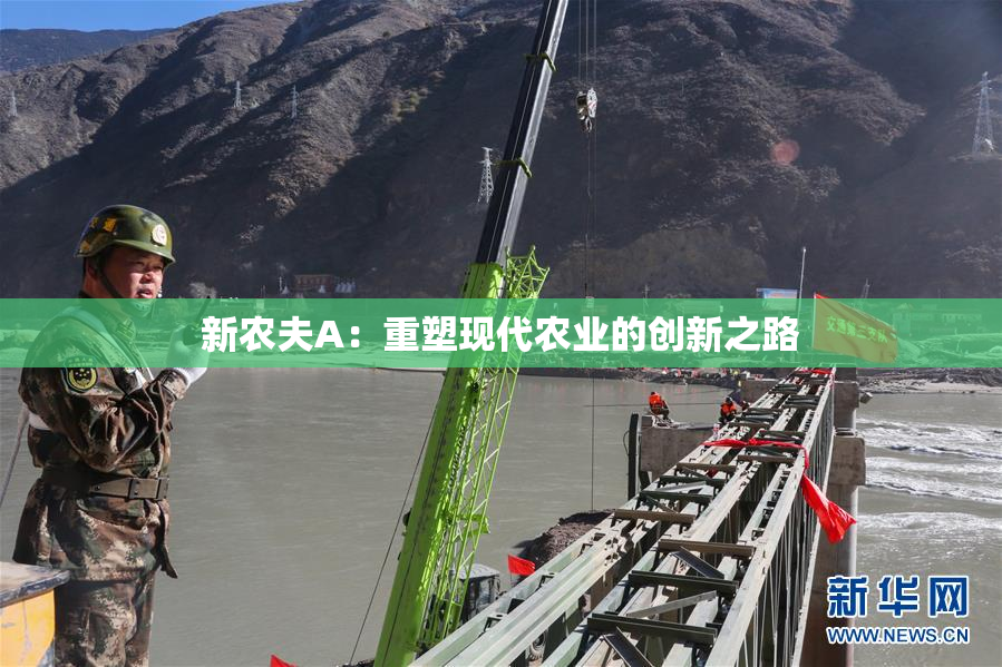 新农夫A：重塑现代农业的创新之路