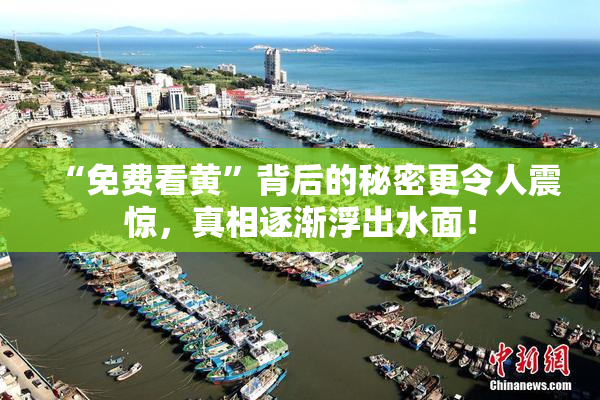 “免费看黄”背后的秘密更令人震惊，真相逐渐浮出水面！
