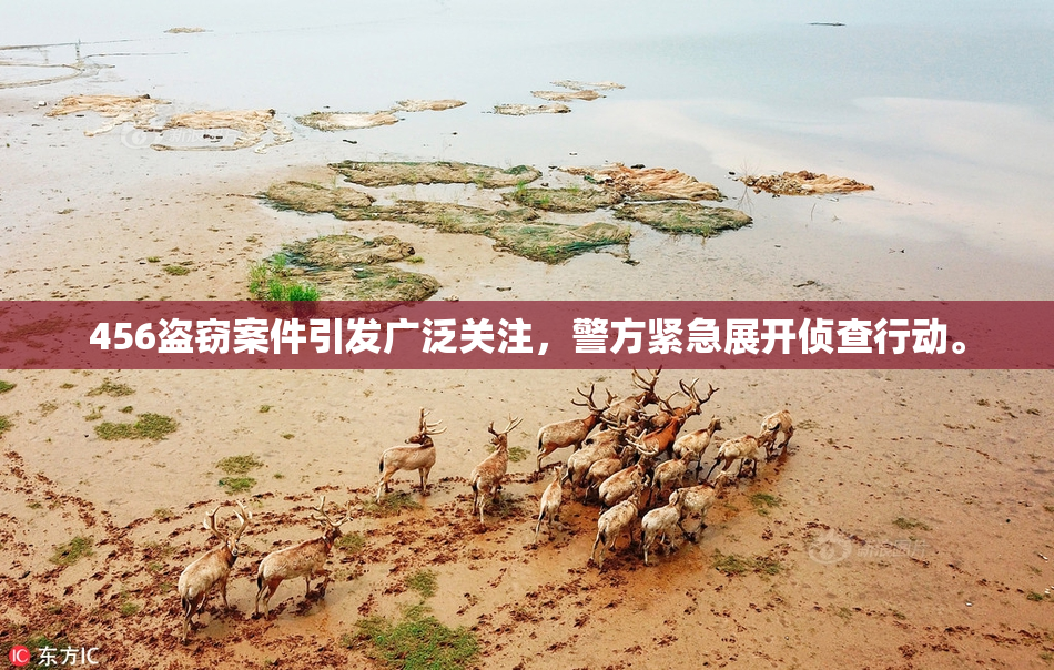 456盗窃案件引发广泛关注，警方紧急展开侦查行动。
