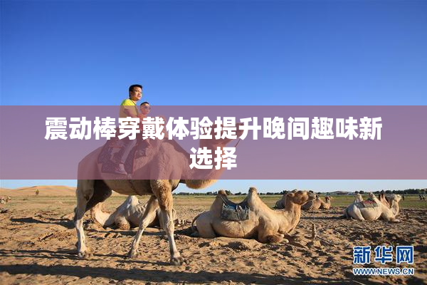 震动棒穿戴体验提升晚间趣味新选择