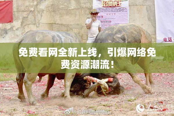 免费看网全新上线，引爆网络免费资源潮流！