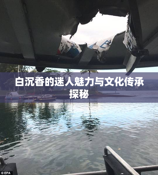 白沉香的迷人魅力与文化传承探秘