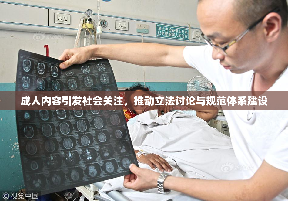 成人内容引发社会关注，推动立法讨论与规范体系建设