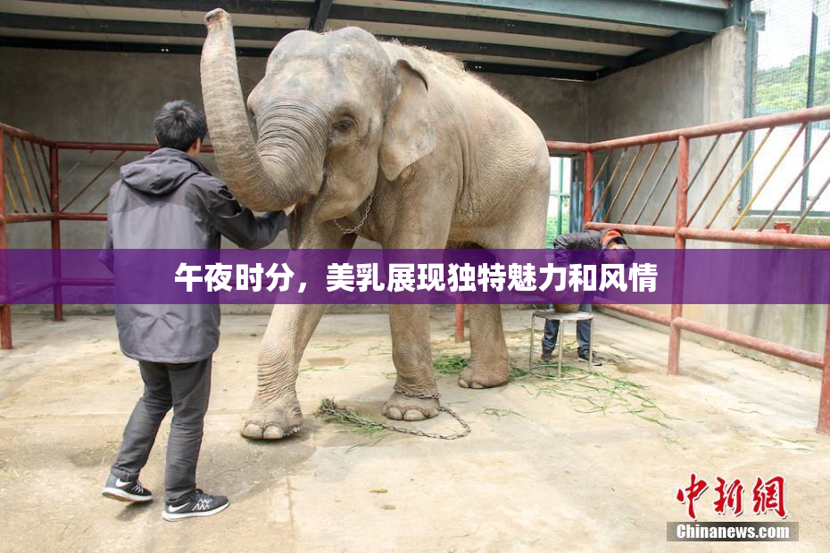 午夜时分，美乳展现独特魅力和风情
