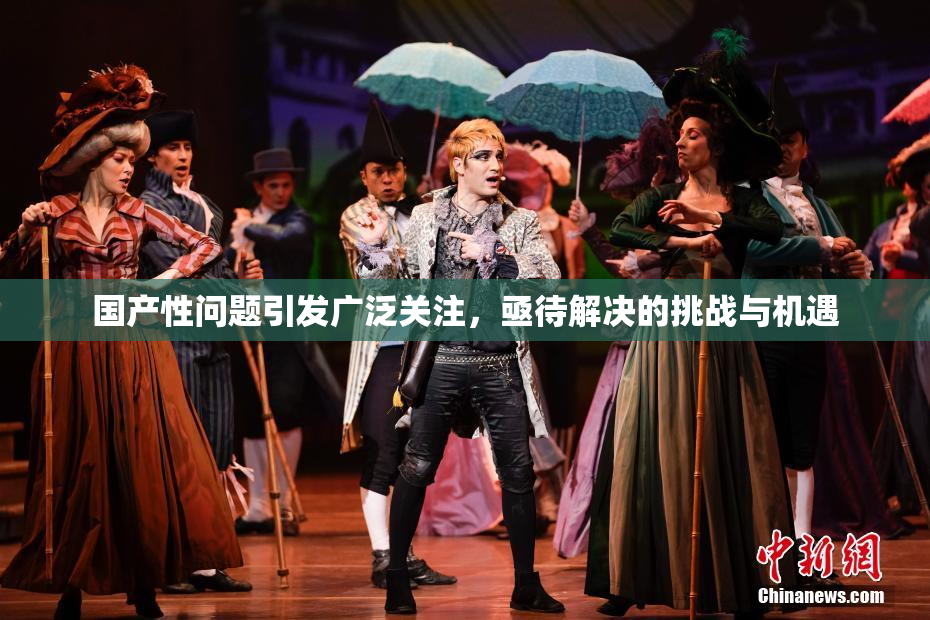 国产性问题引发广泛关注，亟待解决的挑战与机遇