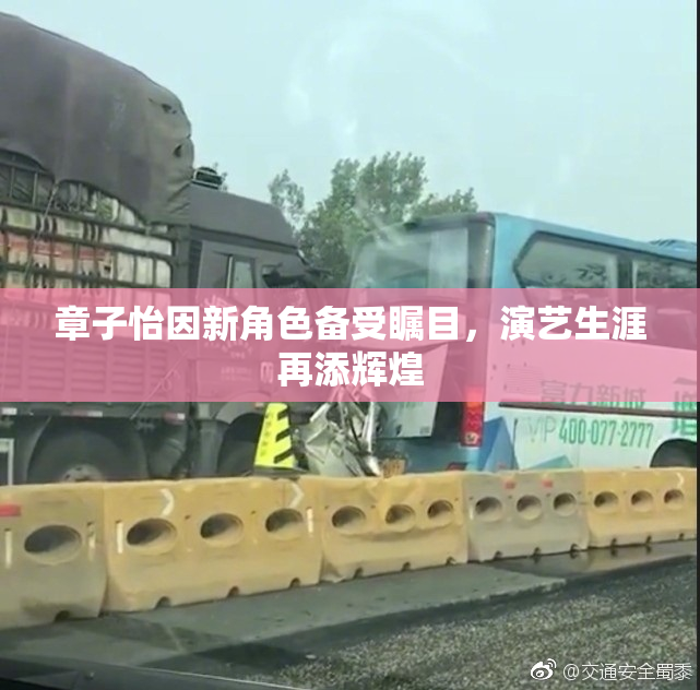 章子怡因新角色备受瞩目，演艺生涯再添辉煌