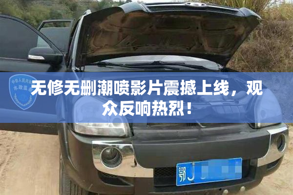 无修无删潮喷影片震撼上线，观众反响热烈！