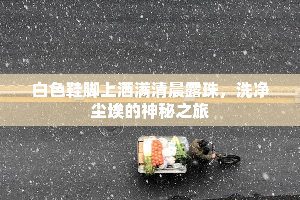 白色鞋脚上洒满清晨露珠，洗净尘埃的神秘之旅