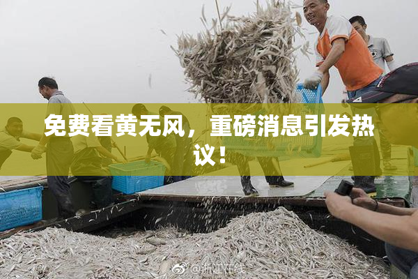 免费看黄无风，重磅消息引发热议！