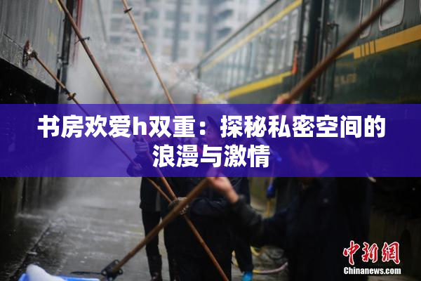 书房欢爱h双重：探秘私密空间的浪漫与激情