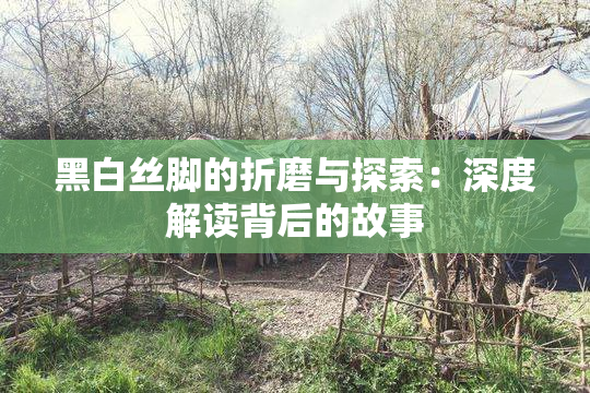 黑白丝脚的折磨与探索：深度解读背后的故事