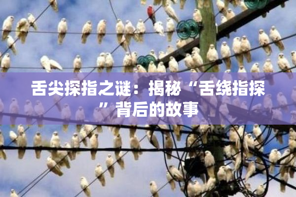 舌尖探指之谜：揭秘“舌绕指探”背后的故事