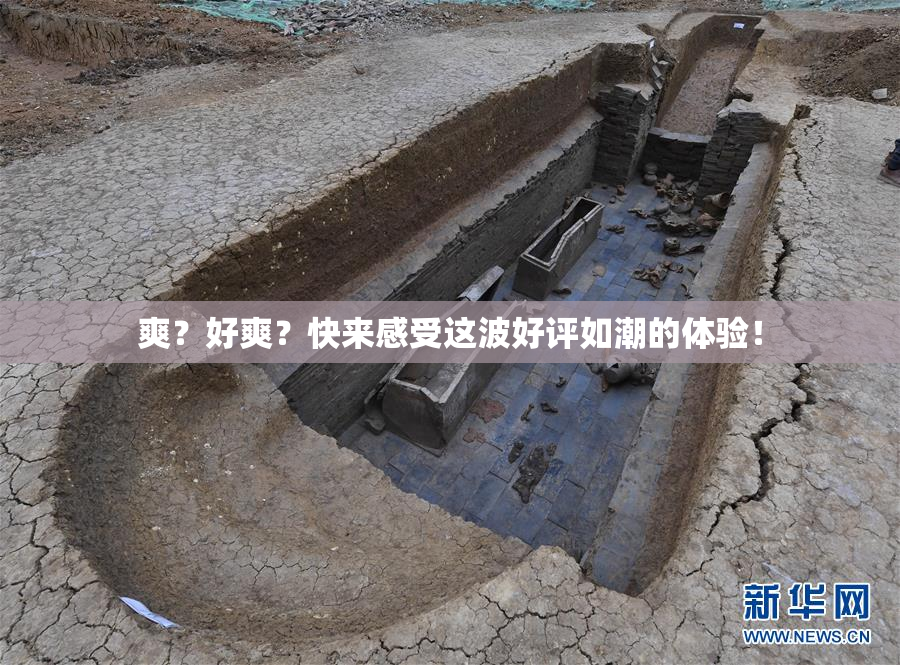 爽？好爽？快来感受这波好评如潮的体验！