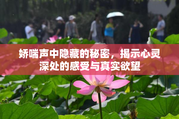 娇喘声中隐藏的秘密，揭示心灵深处的感受与真实欲望