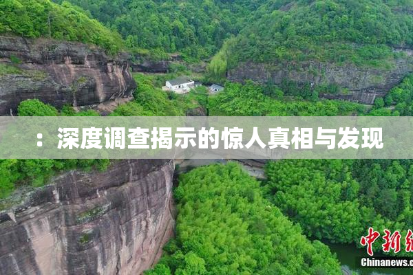 ：深度调查揭示的惊人真相与发现