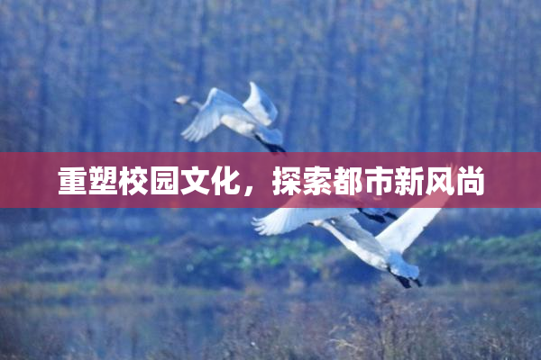 重塑校园文化，探索都市新风尚
