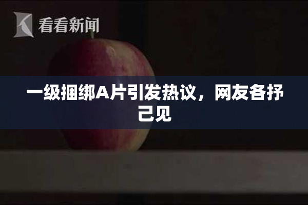一级捆绑A片引发热议，网友各抒己见