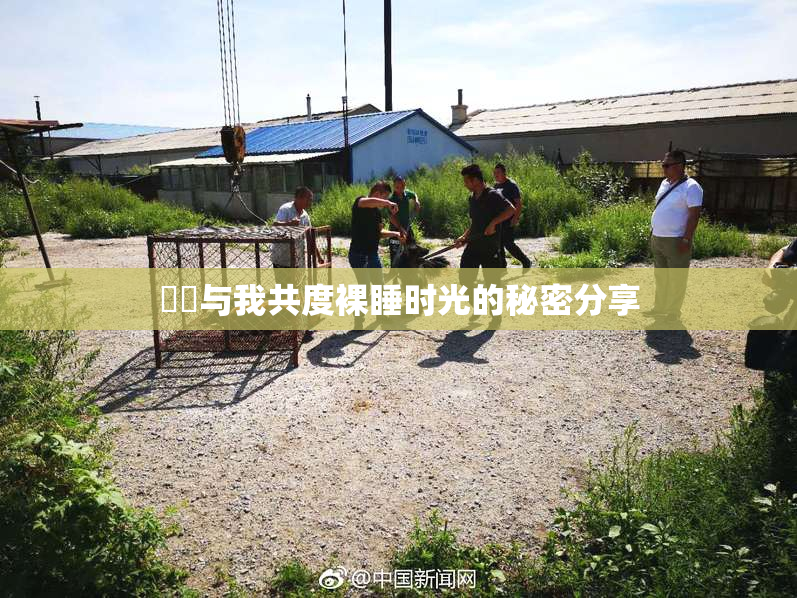 妺妺与我共度裸睡时光的秘密分享