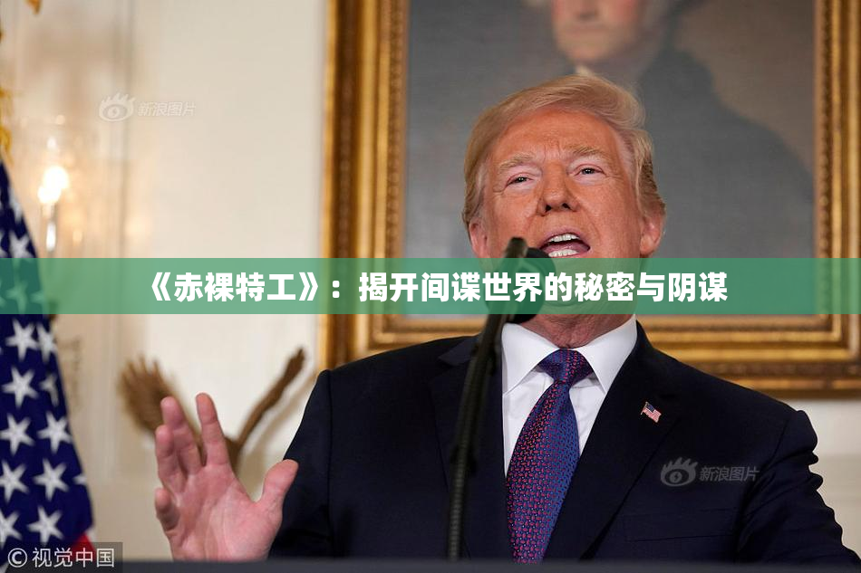 《赤裸特工》：揭开间谍世界的秘密与阴谋
