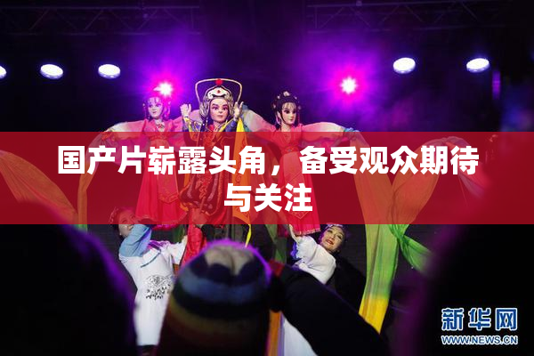 国产片崭露头角，备受观众期待与关注