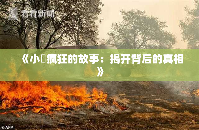 《小泬疯狂的故事：揭开背后的真相》