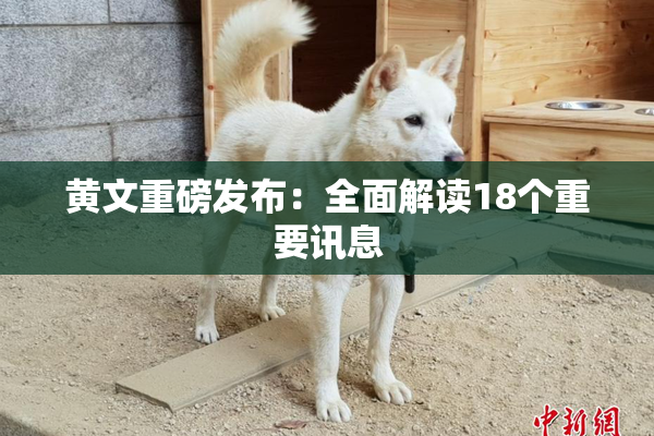 黄文重磅发布：全面解读18个重要讯息