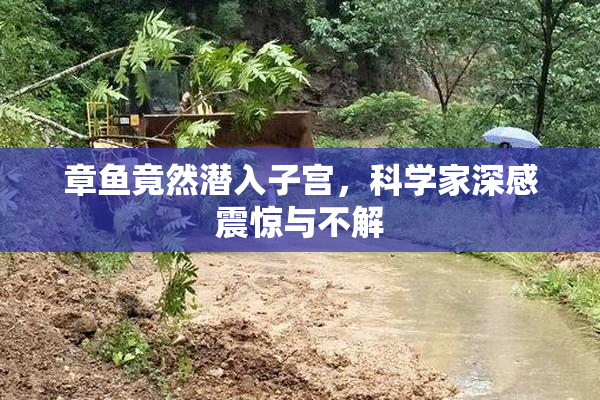 章鱼竟然潜入子宫，科学家深感震惊与不解