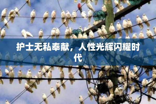护士无私奉献，人性光辉闪耀时代