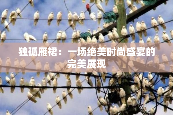独孤雁裙：一场绝美时尚盛宴的完美展现