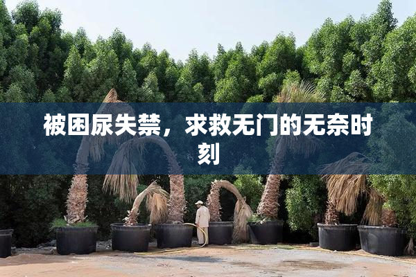 被困尿失禁，求救无门的无奈时刻