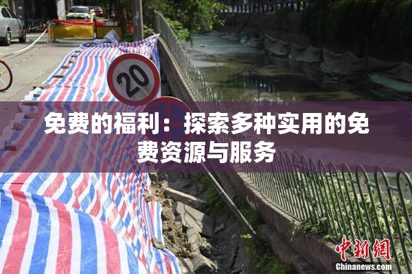 免费的福利：探索多种实用的免费资源与服务