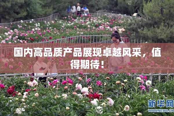 国内高品质产品展现卓越风采，值得期待！