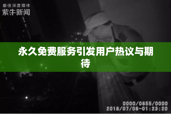 永久免费服务引发用户热议与期待