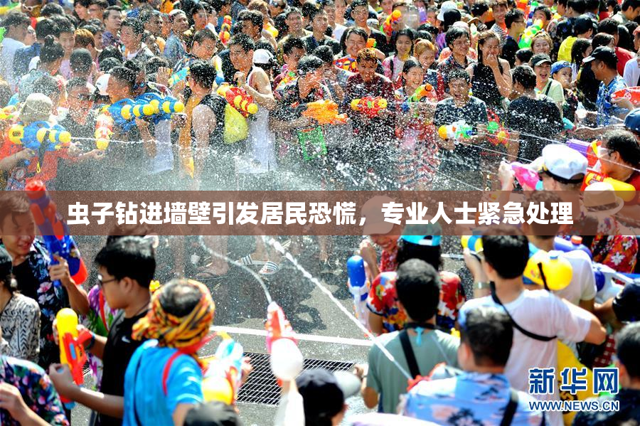 虫子钻进墙壁引发居民恐慌，专业人士紧急处理