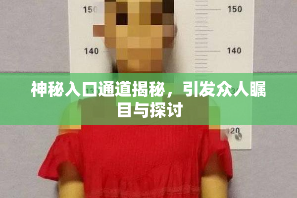 神秘入口通道揭秘，引发众人瞩目与探讨