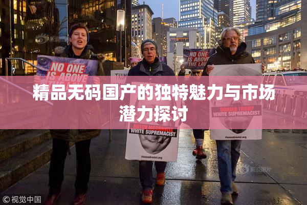 精品无码国产的独特魅力与市场潜力探讨