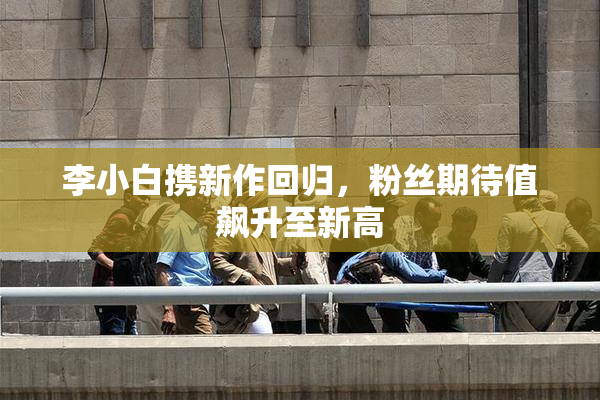 李小白携新作回归，粉丝期待值飙升至新高