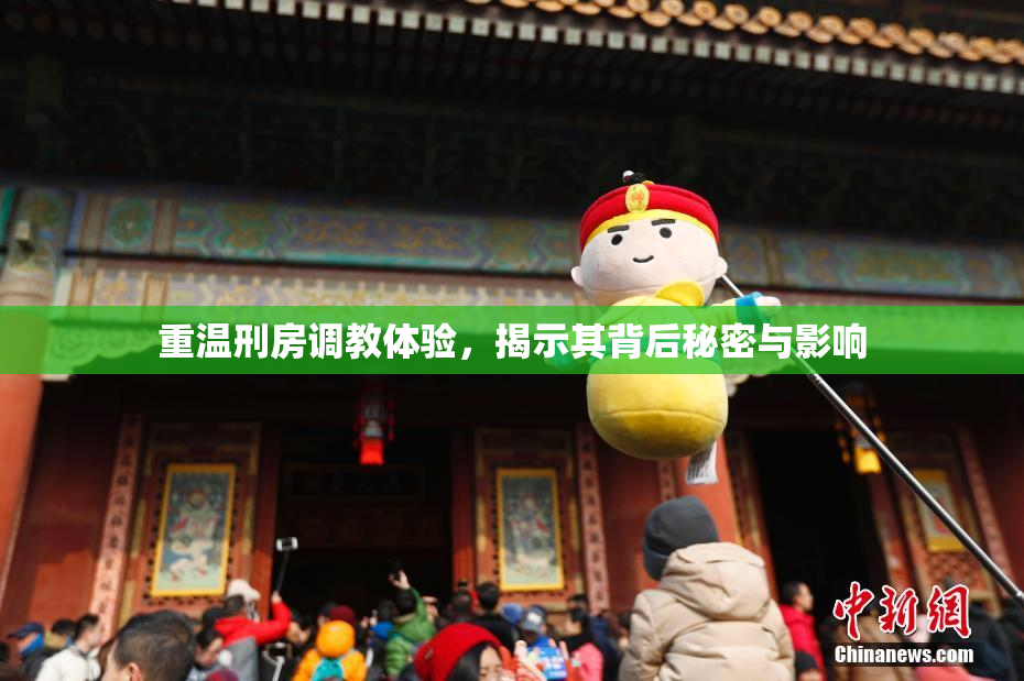 重温刑房调教体验，揭示其背后秘密与影响