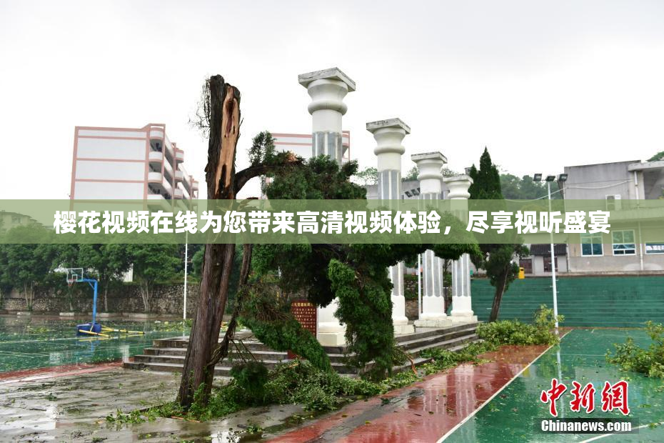 樱花视频在线为您带来高清视频体验，尽享视听盛宴